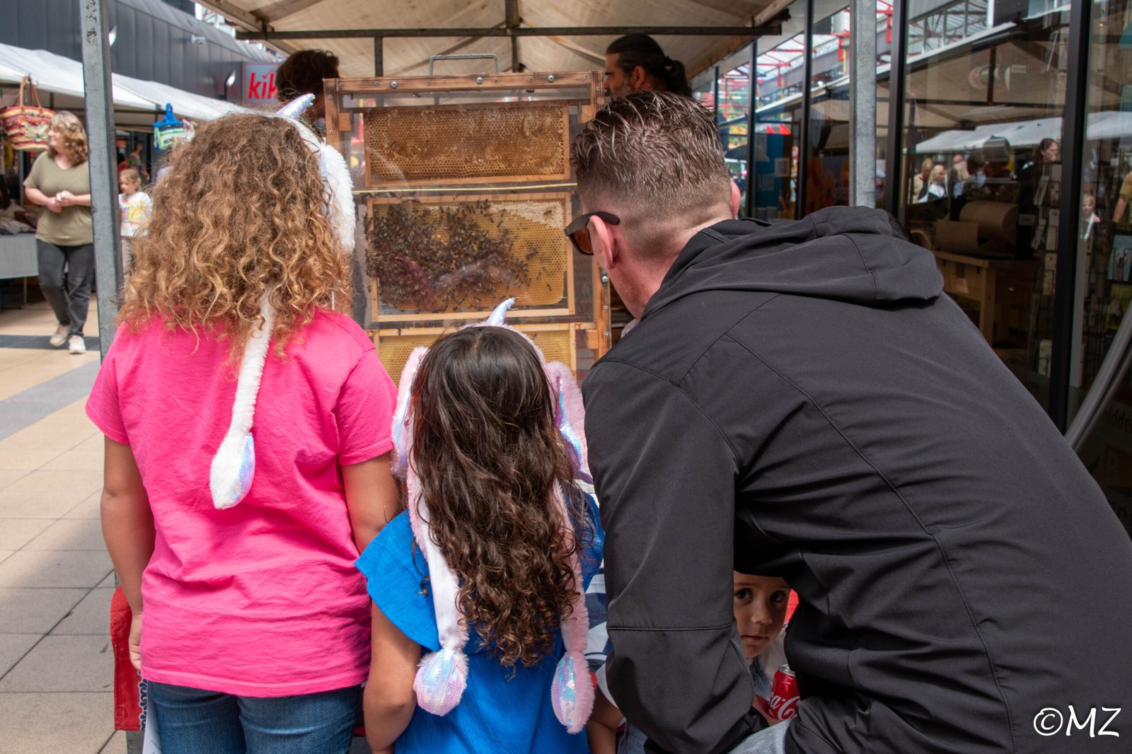Kinderen bekijken bijen op de markt