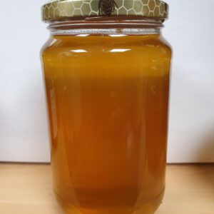 Zomer honing uit de Zuigerplasbos in Lelystad (480g)